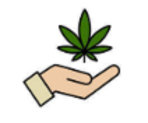 Cannabis Distribution License