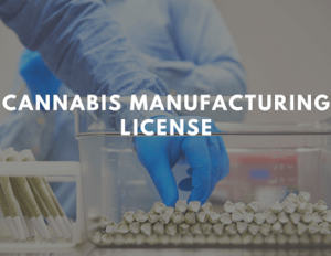 Cannabis Manufacturing License Services