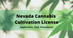 Nevada Cannabis Cultivation License