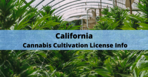 california cannabis cultivation license info