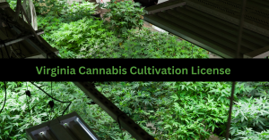 Virginia Cannabis Cultivation License